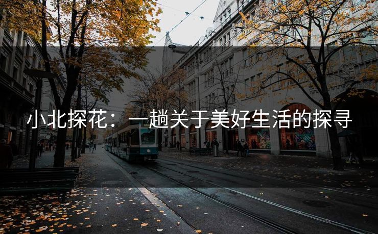 小北探花：一趟关于美好生活的探寻