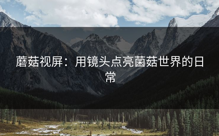 蘑菇视屏:用镜头点亮菌菇世界的日常 蘑菇视屏:用镜头点亮菌菇世界的日常