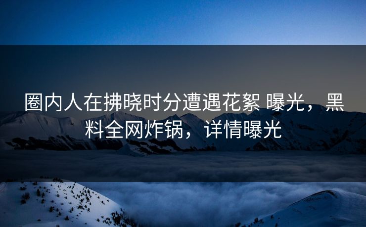 圈内人在拂晓时分遭遇花絮 曝光，黑料全网炸锅，详情曝光